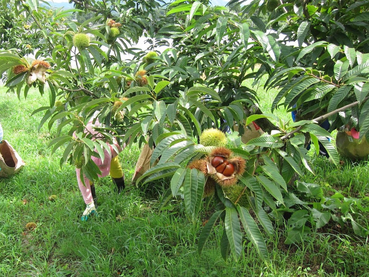 Free HTML5 Bootstrap Template by FreeHTML5.co